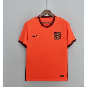 Mens World Cup England Away Jersey 2022 orange shirt front view with gold Three Lions crest and geometric collar