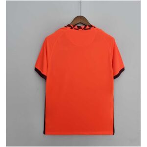 Mens World Cup England Away Jersey 2022 orange shirt rear view with geometric collar trim and side stripes