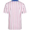 Mens Chelsea Retro Away Jersey 1992/94 Mens Chelsea Retro Away Jersey 1992/94 rear view showing full vertical red pinstripes and royal blue collar band