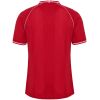Back view of Mens Denmark Home Jersey 2026 showing Dannebrog cross on the rear collar
