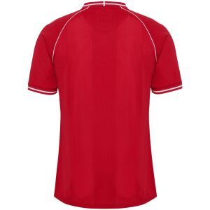 Back view of Mens Denmark Home Jersey 2026 showing Dannebrog cross on the rear collar