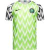 Mens Nigeria Retro Home Jersey 2018 front view showing iconic green and white feather chevrons