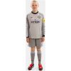 Kids Newcastle United Grey Goalkeeper Long Sleeve Jersey 2026/27