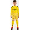 Kids Newcastle United Yellow Goalkeeper Long Sleeve Jersey 2026/27