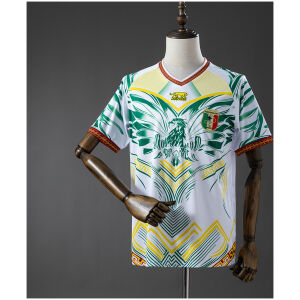Mens Mali Third Jersey 2026 front view on mannequin