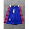 Mens Olympique Lyonnais Unspecified Shorts 2026 27 Back Mens Olympique Lyonnais Blue Shorts 2026/27 rear view showing clean waistband and athletic cut