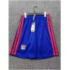 Front view of Mens Olympique Lyonnais Blue Shorts 2026/27 in royal blue