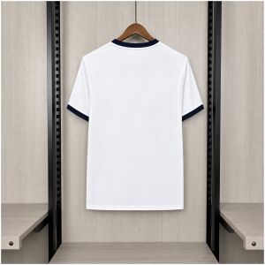 Mens Paris Saint-Germain Two-Star Away Special Jersey 2026/27 front view with gold stars