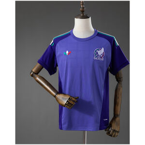 Mens Mexico GK Away Jersey 2026 front view in purple with tricolor stripes and El Tri eagle crest