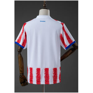 Mens Paraguay Home Jersey 2026 rear view showing authentic team styling