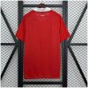 Mens Manchester United Home Retro Jersey 2010-11