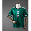 Mens FC Schalke 04 Commemorative Edition Green Jersey 2025/26 front view on mannequin