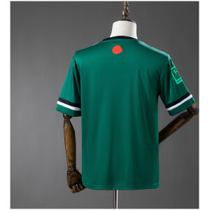 Mens FC Schalke 04 Commemorative Edition Green Jersey 2025/26 rear view showing authentic team styling