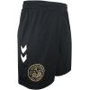THRD26LDSHORT 1.png Womens AFC Bournemouth Third Shorts 2026/27 rear view showing clean waistband and athletic cut