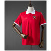 Front view of the Mens Wales 150th Anniversary Jersey in red with white polo collar and gold dragon crest