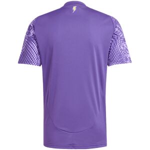 Mens Orlando City FC Home Jersey 2025/26 rear view showing matching team styling