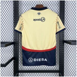 Mens Cerro Porteno Away Jersey 2025/26 back view detail