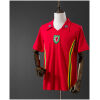 Mens Wales Retro Home Jersey 1976 front view on mannequin