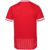 Mens FC Cologne Away Jersey 2026/27 Mens FC Cologne Away Jersey 2026/27 red back view with pinstriped lower hem