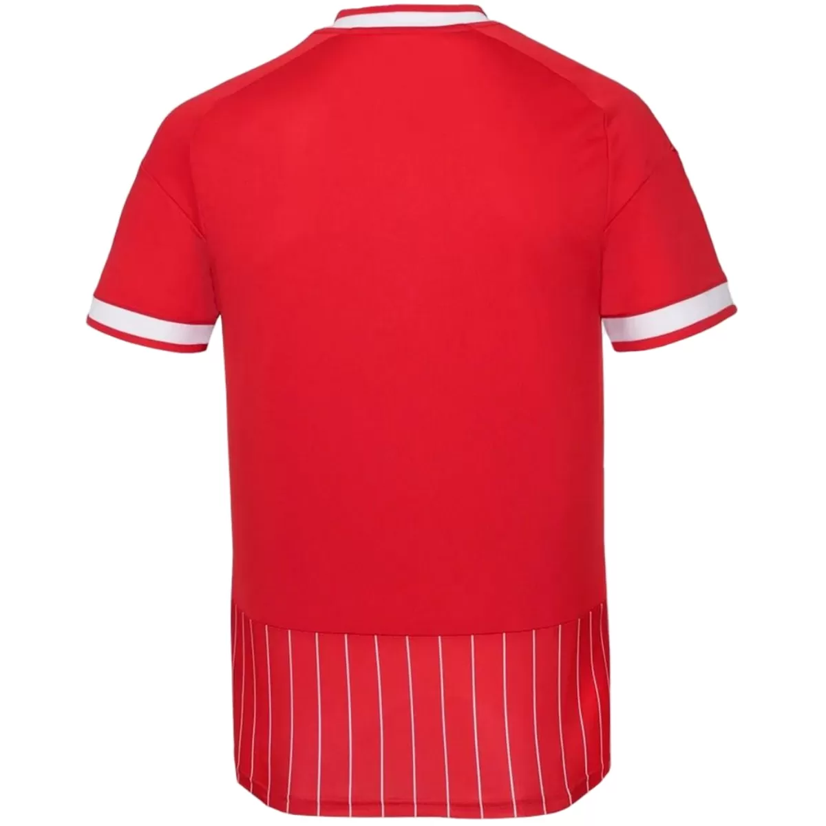 Mens FC Cologne Away Jersey 2026/27 Mens FC Cologne Away Jersey 2026/27 red back view with pinstriped lower hem