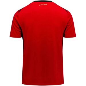 Mens Egypt World Cup Home Jersey 2026 crimson red shirt back view with gold Arabic script