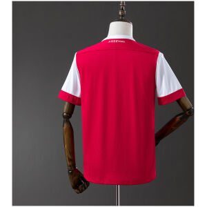 Mens Arsenal Retro Home Jersey 2010/11 back view detail