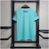 Mens World Cup Brazil Light Blue Polo 2022 back view detail