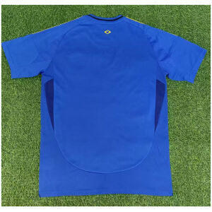 Mens Brazil Blue Jesus Jersey 2025 back view detail