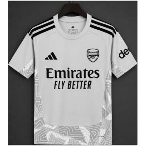 Mens Arsenal Goalkeeper Jersey Grey 2026/27 Mens Arsenal Goalkeeper Jersey Grey 2026/27