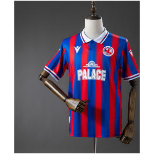 Mens Crystal Palace Limited Edition Jersey 2025/26 front view on mannequin
