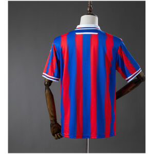Mens Crystal Palace Limited Edition Jersey 2025/26 rear view showing authentic team styling