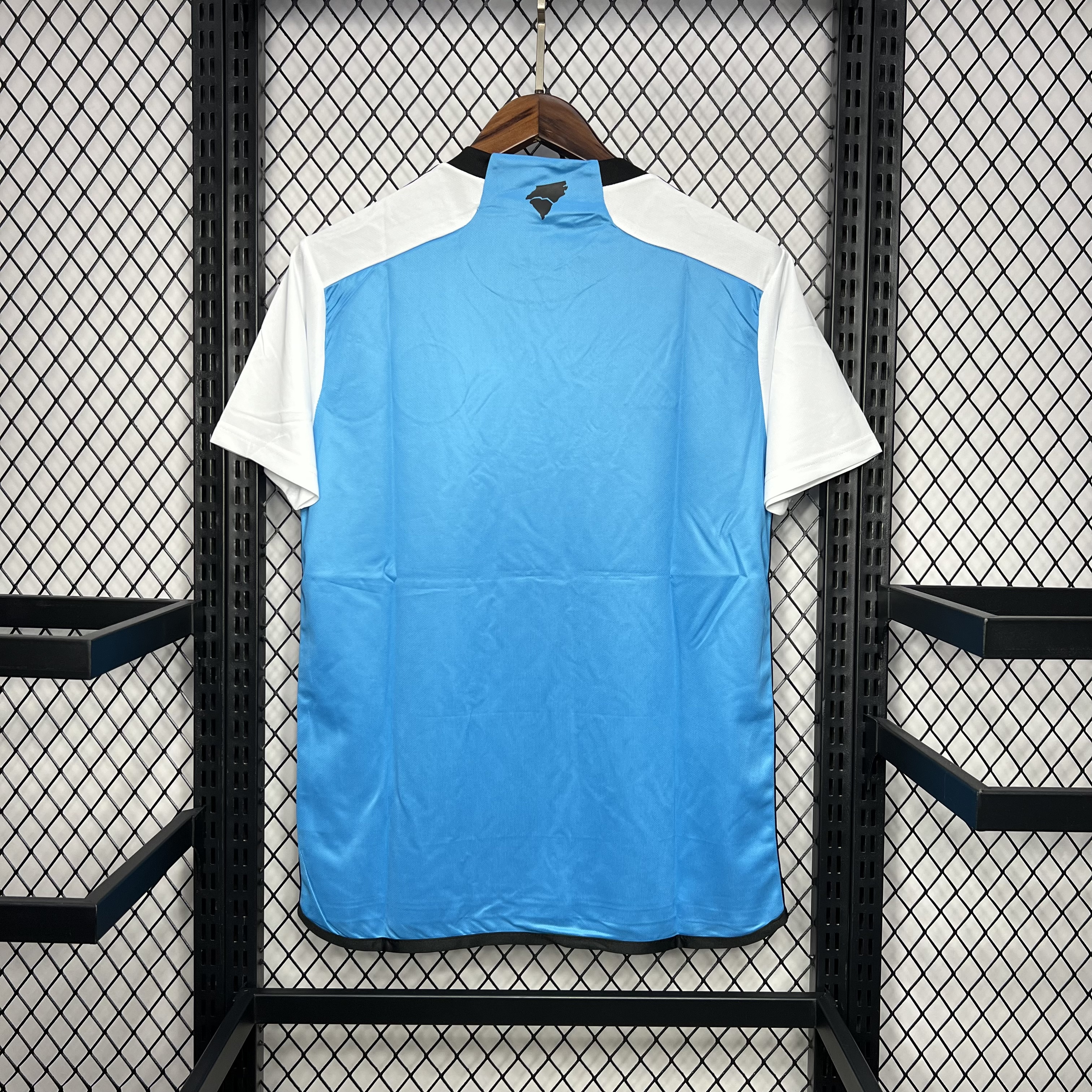 Mens Charlotte Home Jersey 2024/25 Mens Charlotte Home Jersey 2024/25 back view detail