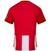 Mens Brentford Home Jersey 2026/27 shirt back view with red upper panel and lower stripes