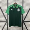 Mens Palmeiras green Polo 2024/25 front view on display