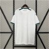 Mens Santiago Wanderers Away Jersey 2024/25 Mens Santiago Wanderers Away Jersey 2024/25 front view on display
