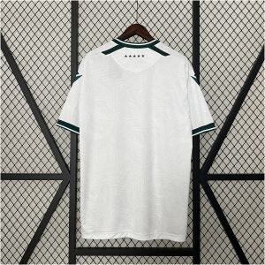Mens Santiago Wanderers Away Jersey 2024/25 front view on display