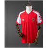 Mens Wales Retro Home Jersey 1982 front view on mannequin