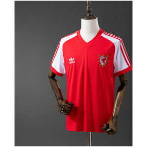 Mens Wales Retro Home Jersey 1982 front view on mannequin