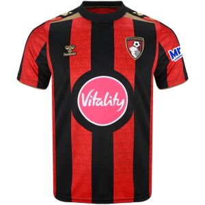 Mens AFC Bournemouth Home Jersey 2026/27 red and black striped shirt front view