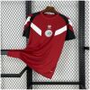 Mens Ajax Red Training Kit Jersey 2024/25 front view on display