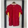 Mens Liverpool Home Jersey 2024/25 back view detail
