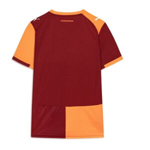 Mens Galatasaray Home Jersey 2025/26 back view detail