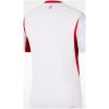 Mens Poland World Cup Home Jersey 2026 rear view showing authentic team styling