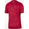 Mens Poland World Cup Edition Away Jersey 2026 rear view showing authentic team styling