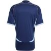 Mens World Cup Argentina Retro Away Jersey 2006 Mens World Cup Argentina Retro Away Jersey 2006 back view detail