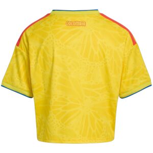 Womens Colombia Cropped World Cup Home Jersey 2026 rear view showing authentic team styling
