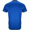 Mens AFC Bournemouth Away Jersey 2025/26 rear view showing matching team styling