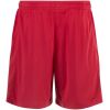 Mens Liverpool Home Shorts 2024/25 rear view showing clean waistband and athletic cut