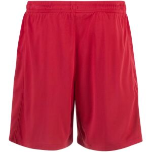 Mens Liverpool Home Shorts 2024/25 rear view showing clean waistband and athletic cut