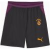 Mens Galatasaray Away Shorts 2026/27 dark charcoal shorts front view with plum mesh panels and 5-star crest